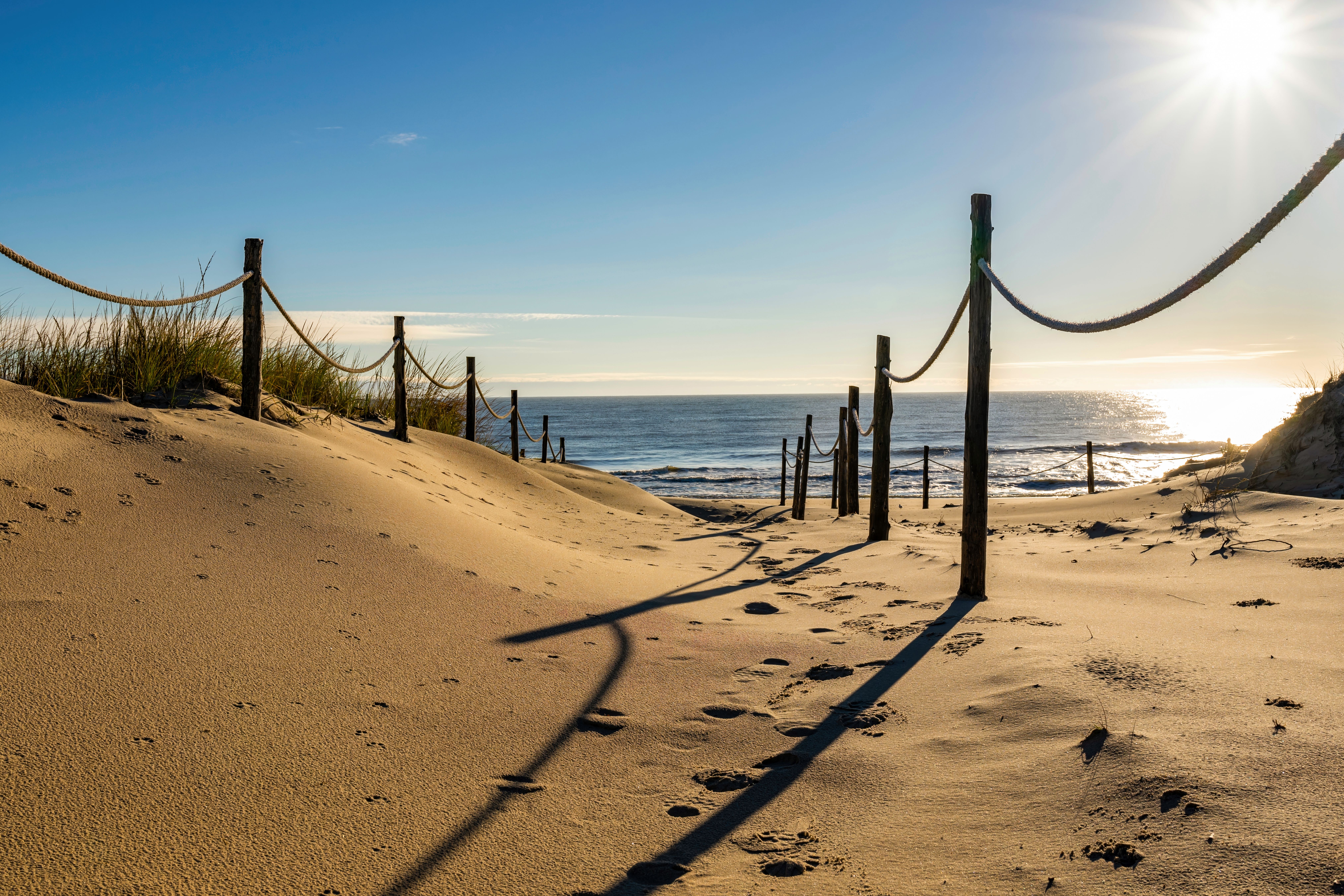 Case Study: A New Chapter After Retirement