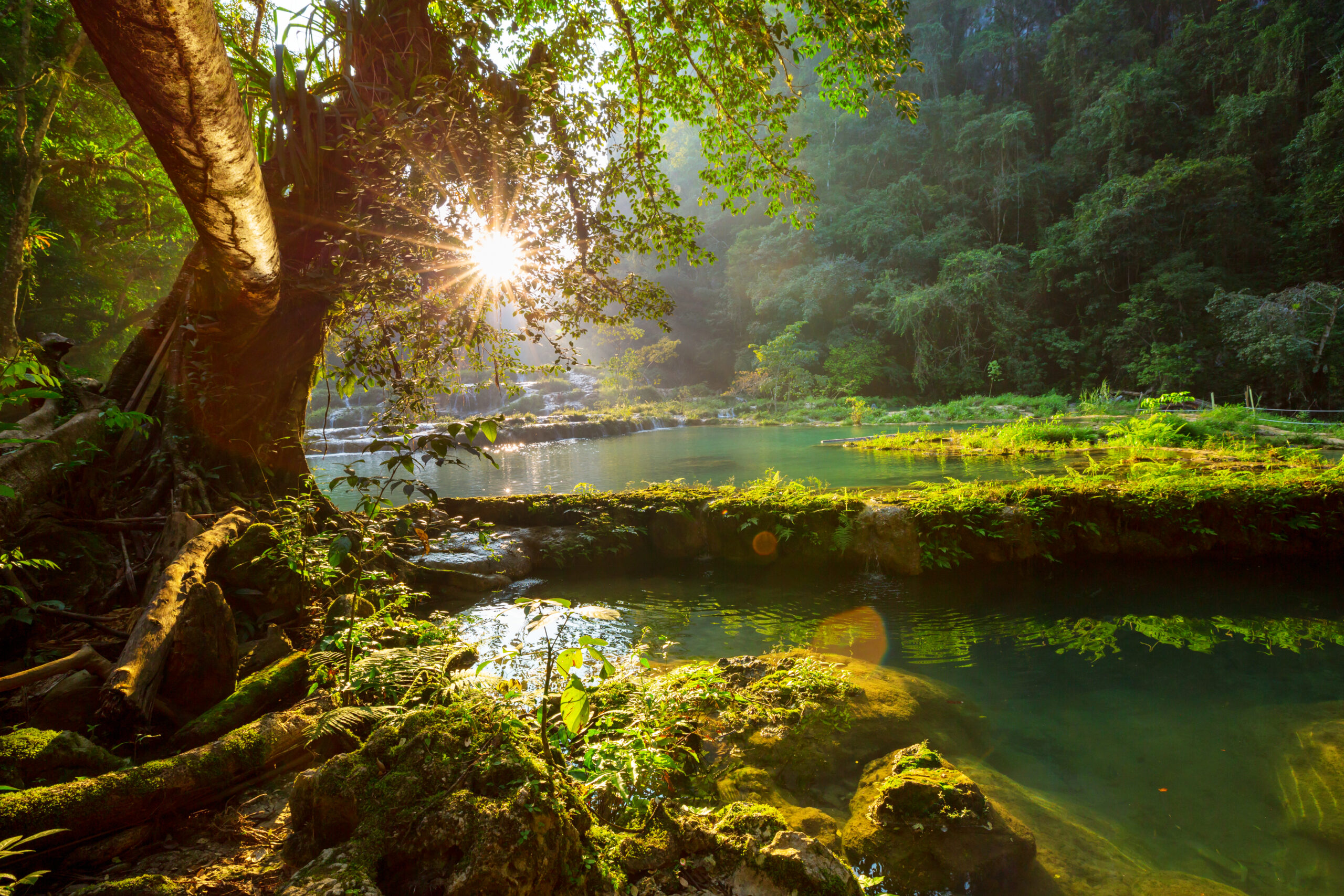 Case Study: Rediscovering Purpose with Brave Ways